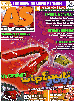 Cover of Amiga Survivor